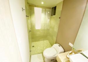 圣玛尔塔Hotel 1525 By GEH Suites的带淋浴和卫生间的浴室