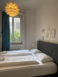 苏黎世Homestay Zurich center的相册照片