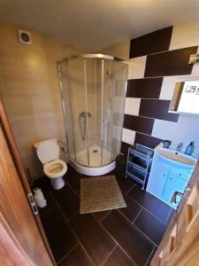 利普托斯基米库拉斯Apartmany Star的带淋浴、卫生间和盥洗盆的浴室