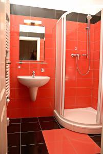 布拉格Just BE that´s enough!!的红色的浴室设有水槽和淋浴