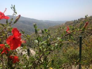 阿里纳斯Belvilla by OYO Casa Martijo的从红花山顶上欣赏美景