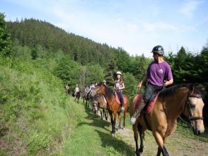勒梅尼勒Tidy chalet with dishwasher, in the High Vosges的一群骑马的人在山丘上骑着马