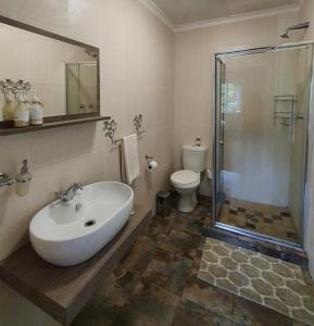 诺丁汉路Invermooi Estate的一间带水槽、淋浴和卫生间的浴室