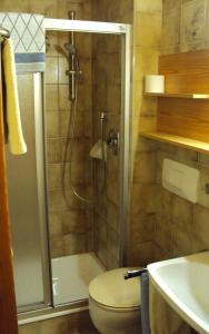 魏森湖Haus Alpenfriede的带淋浴、卫生间和盥洗盆的浴室