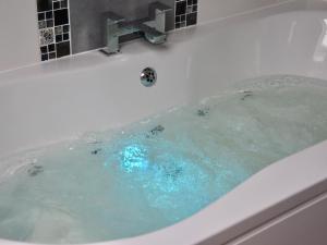 LlanbrynmairPant Glas Barn的以及蓝色水浴缸。