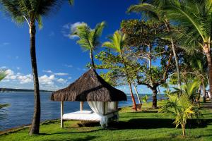 阿拉亚尔达茹达阿莱尔达约达生态度假酒店的棕榈树旁的草地上的吊床