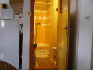 Loučovice德沃勒科纳公寓的一间带水槽和卫生间的小浴室