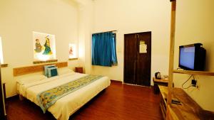 乌代浦乌黛加哈 - 乌代酒店的配有一张床和一台平面电视的酒店客房