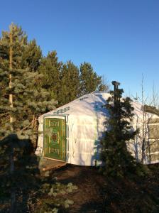塞尔福斯Valhalla Yurts Odin的森林中带门的大型圆顶帐篷