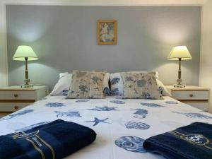特罗吉尔清新达尔奥尔里克公寓的一张带蓝色和白色棉被的床和两盏灯