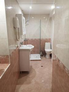舒门米纳利特维克酒店的一间带水槽和卫生间的浴室