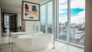 圣多明各洲际里尔酒店的一间浴室