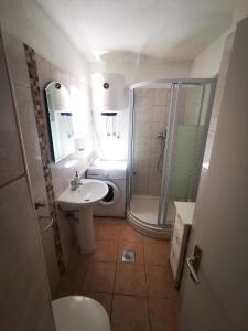 伊万多拉克Apartments Arboreum的带淋浴、卫生间和盥洗盆的浴室