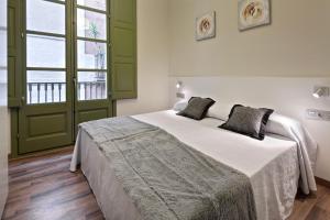 巴塞罗那人居艺术公寓的一间卧室设有一张大床和一个大窗户