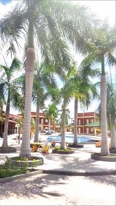 巴雷里尼亚斯Chalé em Barreirinhas的庭院里棕榈树群,设有游泳池