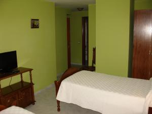 帕伦西亚阿尔戈栋旅馆的一间卧室设有绿色的墙壁、一张床和电视
