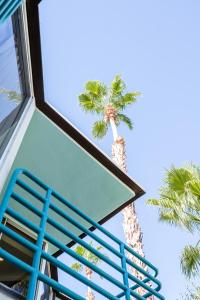 棕榈泉Margaritaville Resort Palm Springs的蓝色的楼梯,有棕榈树背景