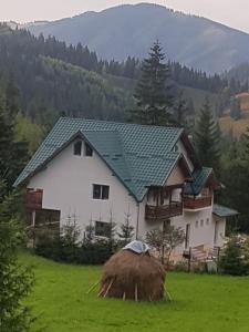波若勒塔Pensiunea Gură de Rai, Pojorâta的田野上带绿色屋顶的白色房子