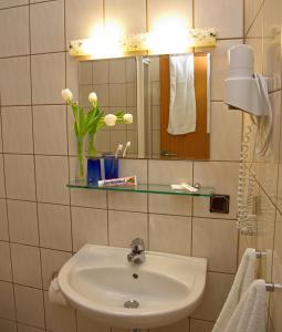 哈默尔堡加尼咖啡酒店的浴室设有水槽、镜子和鲜花