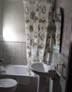 阿尔科斯-德拉弗龙特拉Hostal Andalucia的一间带水槽和淋浴帘的浴室