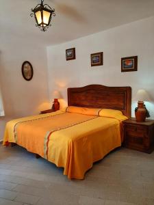 塔斯科·德·阿拉尔孔波萨达圣哈维尔酒店的一间卧室配有一张带橙色毯子的大床
