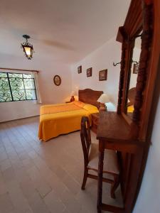 塔斯科·德·阿拉尔孔波萨达圣哈维尔酒店的一间卧室配有一张床、一张书桌和一面镜子