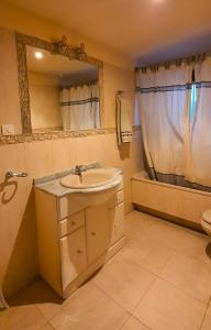 VallecilloCasarural Vallecillo的浴室配有盥洗盆、镜子和浴缸