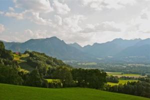 萨默贝格Landhaus Binder的享有绿色田野的景色,背景为山脉