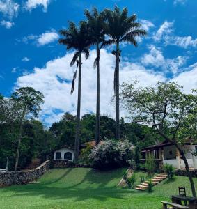 布鲁马迪纽Pousada Cantinho do Mundo的棕榈树庭院和房屋