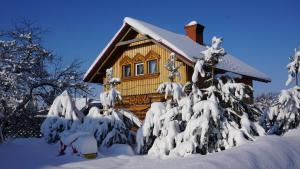 苏兹达尔苏兹达尔生态酒店的雪中小屋,有雪覆盖的树木