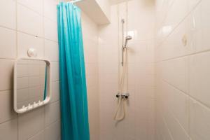 阿姆斯特丹Charming apartment in city center的一间带蓝色淋浴帘的淋浴的浴室