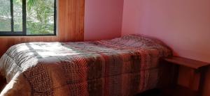 普孔Cabanas El Cipres的一间卧室配有一张床铺,床上有毯子