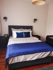卡托维兹Apartament LUNA Francuska Park的一间卧室配有一张大床,提供蓝色的床单和枕头