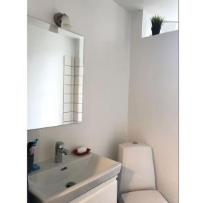 哥本哈根ApartmentInCopenhagen Apartment 1183的一间带水槽、卫生间和镜子的浴室