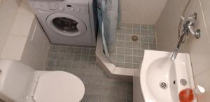 塔林Hansa Apartment的一间带卫生间和水槽的小浴室