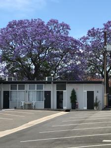 阿德莱德Frewville Motor Inn的一座紫色树建筑前面的停车场
