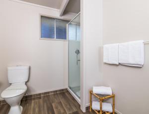 陶波双峰湖滨酒店的一间带卫生间和淋浴的浴室
