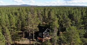伊纳利LapinTintti Eco-Cabin in Inari的树林中房屋的空中景观