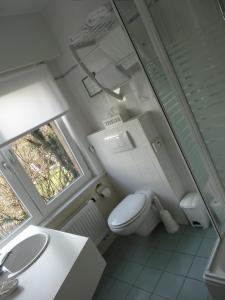 德哈恩比德尔迪克酒店的一间带卫生间和水槽的小浴室