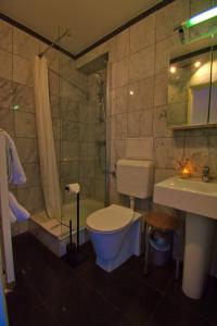 美因茨美因茨老城公寓酒店的浴室配有卫生间、淋浴和盥洗盆。