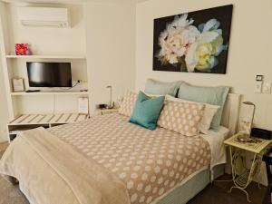 奥克兰帕内尔花园套房住宿加早餐旅馆的一间卧室配有带枕头的床和电视。