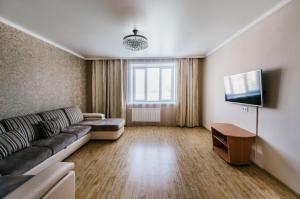 赤塔Dekabrist Apartment at Krasnoarmeyskaya 14的带沙发和平面电视的客厅