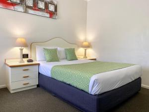 沃加沃加高尔夫景汽车旅馆的一间卧室配有一张床、床头柜和两盏灯。