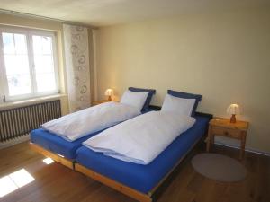 格林德尔瓦尔德艾尼木屋的一间卧室配有蓝色的床、白色床单和窗户