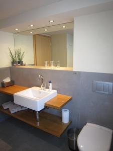 格林德尔瓦尔德艾尼木屋的一间带水槽、卫生间和镜子的浴室