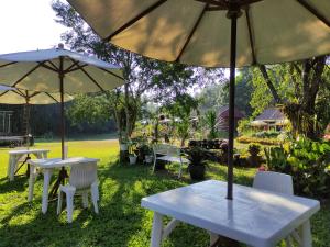 普鲁亚普鲁萨塔拉花园旅馆的草上两把桌子和椅子,带雨伞