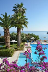 伊斯特隆伊斯佐恩海湾酒店的棕榈树和紫色花卉的度假游泳池