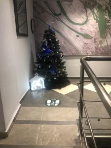 罗德镇N E P center Hotel Rodos的房间的角落处的圣诞树