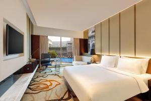 新德里新德里空港骄傲广场酒店的酒店客房设有一张大床和一台电视。