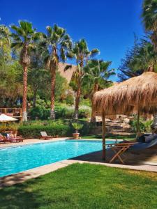 皮斯科艾齐Refugio Misterios del Elqui的一个带草伞和棕榈树的游泳池